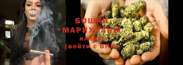 ECSTASY Ладушкин