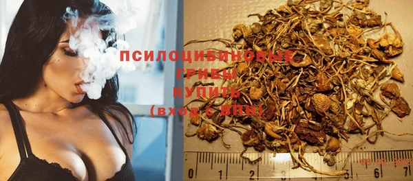 герыч Лагань
