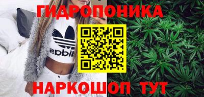 кокс Новодвинск