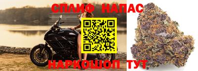 наркотики Новозыбков