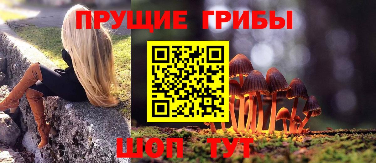 Галлюциногенные грибы Psilocybine cubensis  Южноуральск 