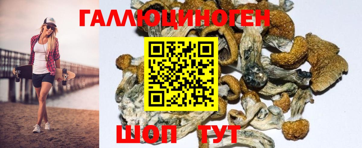 Южноуральск  Галлюциногенные грибы Psilocybe  Вход с VPN 